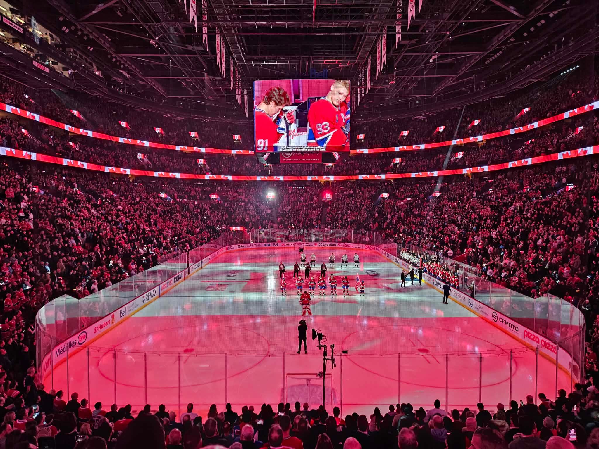 Under the arena lights